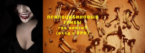 ешки Баксан
