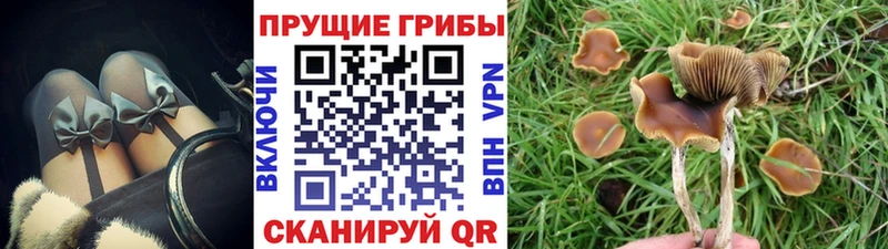 Псилоцибиновые грибы ЛСД  Энем 